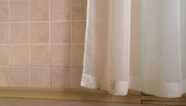 Best Biohazard Mold Removal  in Fort Meade, FL