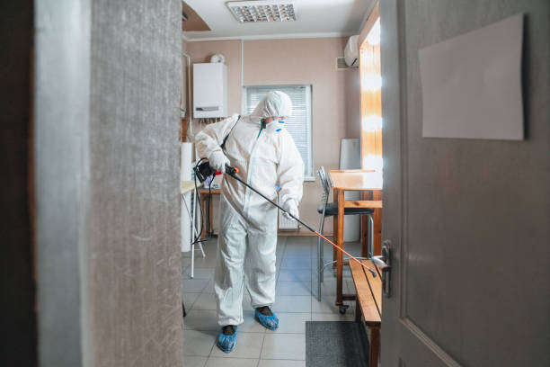 Professional Mold Removal in Fort Meade, FL