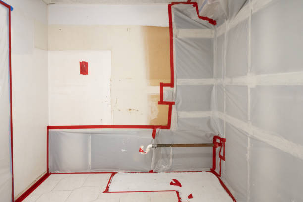 Best Real Estate Mold Inspection  in Fort Meade, FL