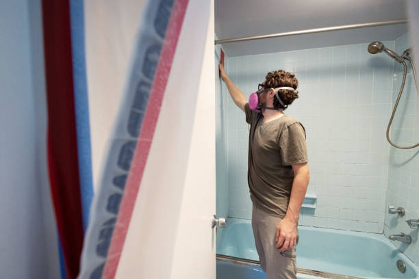 Best Mold Removal for HVAC Installations  in Fort Meade, FL